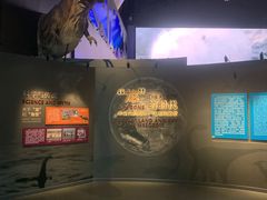 -贝林大翅鲸简餐厅(国家海洋博物馆店)