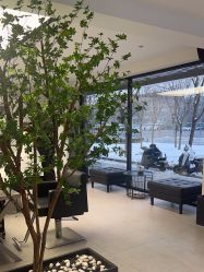 -付军剪艺JF ProSalon