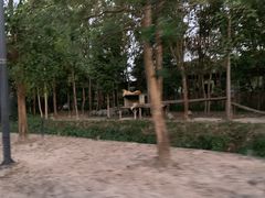 -清迈夜间动物园