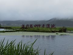 -腾冲北海湿地