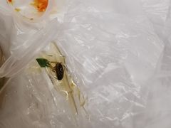 -潮里屯(唯品同创汇店)