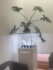 -Dr.U博士医疗美容医院