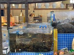 水产区-半岛听涛蒸汽海鲜自助(K11店)