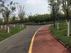 -天津东丽湖风景区