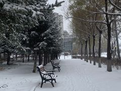 -列娜餐厅