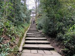 -缙云山景区