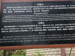 -王顺山国家森林公园
