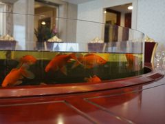 -聚宝渔港.五钻酒家(上地店)