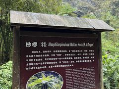 景点-百魔洞景区