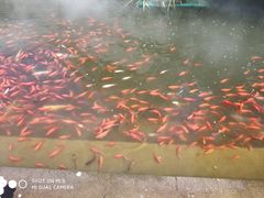 -济南方特东方神画