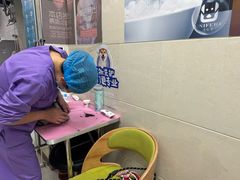 -北京观赏动物医院·24小时大型综合·猫专科·异宠专科