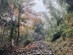 -仙霞关景区