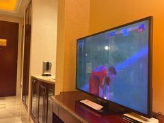 -芜湖白金汉爵大酒店