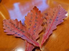 -长春公园(普阳街道)