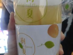 -树夏(建设路店)