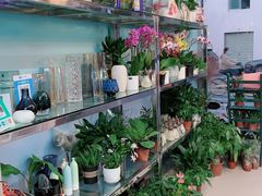 -花心思鲜花店(武昌徐东店)