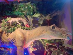 -恐龙探索乐园(磁器口店)