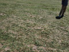 -新疆那拉提国家旅游度假区