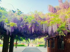 -大连人民广场