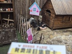 -HERRE·FARM 赫尔露营农场·团建聚会包场