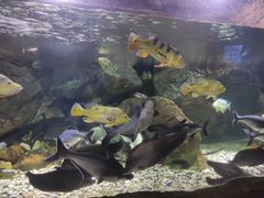 -多彩贵州城极地海洋世界