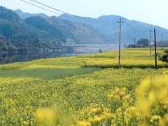 -新安江山水画廊风景区