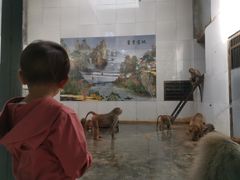 -西安秦岭野生动物园
