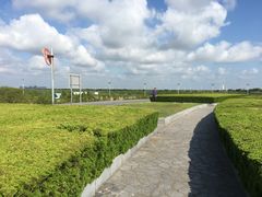 -南汇嘴观海公园