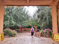 -北海金海湾红树林生态旅游区