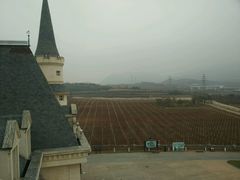 -北京张裕爱斐堡酒庄
