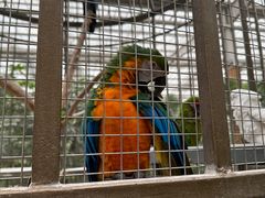 -南宫五洲植物乐园