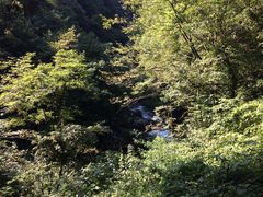 -西岭雪山大飞水景区