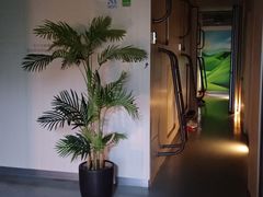 -栖游青年旅舍(华强北地铁站店)