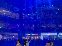 门面-成都浩海立方海洋公园