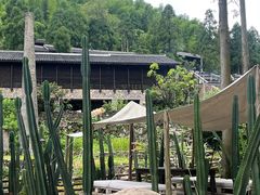 -MOJ coffee(瓯海泽雅水碓坑店)