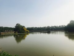 -大湾区中央湿地公园