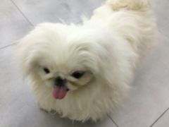 -弓舍射箭俱乐部(高新总店)