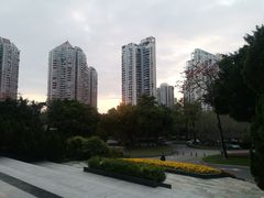 -深圳国际园林花卉博览园