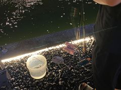 -DGE季风钓虾营地·团建·聚会