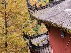 -光雾山旅游景区