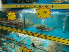 -海贡平价海鲜超市
