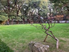 -上海宋庆龄故居纪念馆