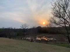 -盘龙城国家考古遗址公园