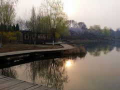-前关湿地公园
