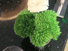 -铭轩中餐厅·海南菜·粤菜(亚龙湾瑞吉店)