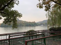 -西湖外事游船(花港观鱼码头)