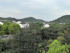 -树山生态村
