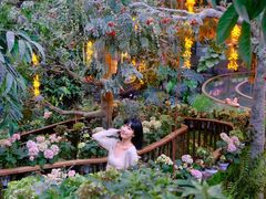 -正佳雨林生态植物园