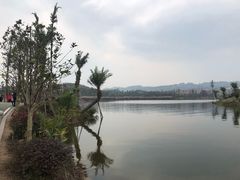 -枫香湖儿童公园