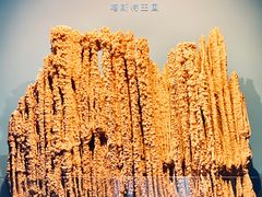 -贵州省地质博物馆